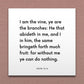 Wall-mounted scripture tile for John 15:5 - "I am the vine, ye are the branches"